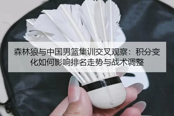 森林狼与中国男篮集训交叉观察：积分变化如何影响排名走势与战术调整